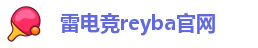 雷电竞reyba官网